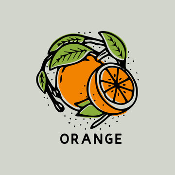 Orange Fruit With Leaf Vintage Hand Drawn Illustration