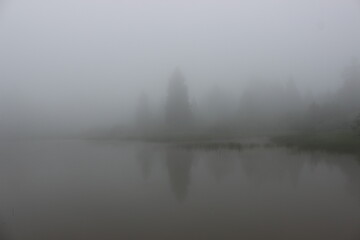 Obraz na płótnie Canvas Im Nebel