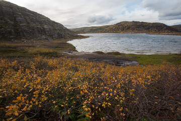 Terabika landscape in autumn season, Murmansk, Russia