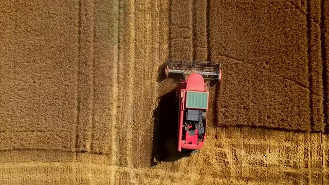 Battitura del grano vista dal drone