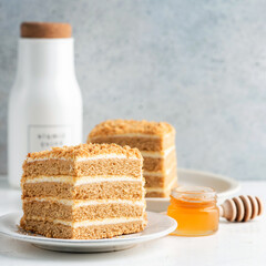 Fototapeta na wymiar Honey layer cake Medovik cut in square shape. Closeup view