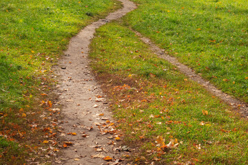S shape path in a field with fallen leafs, Concept abstract nature shape.