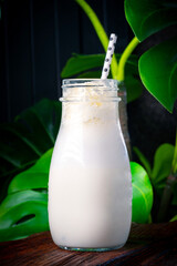 Classic Vanilla milkshake in a glass on a dark wooden background with banana leaves