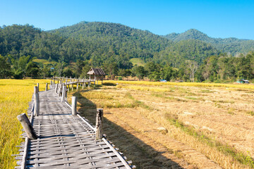 Pai Bamboo Bridge (Boon Ko Ku So) in Pai, Mae Hong Son Province, Thailand.