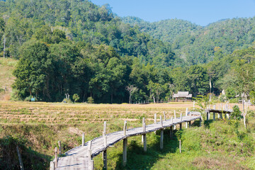 Fototapeta na wymiar Beautiful scenic view from Pai Bamboo Bridge (Boon Ko Ku So) in Pai, Mae Hong Son Province, Thailand.