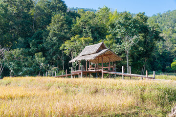 Beautiful scenic view from Pai Bamboo Bridge (Boon Ko Ku So) in Pai, Mae Hong Son Province, Thailand.