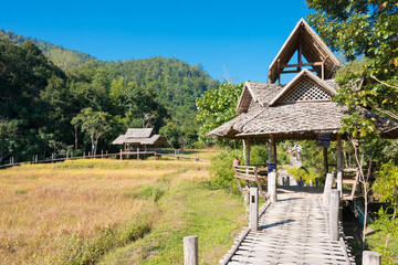 Fototapeta premium Beautiful scenic view from Pai Bamboo Bridge (Boon Ko Ku So) in Pai, Mae Hong Son Province, Thailand.