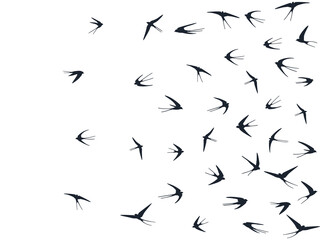 Flying martlet birds silhouettes vector illustration. Nomadic martlets bevy isolated on white. 