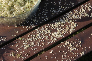 Préparation de fleurs de sureau