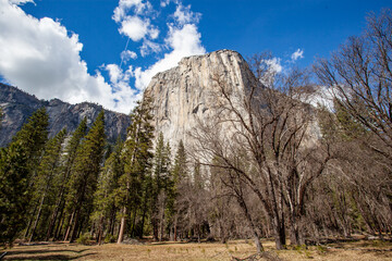 Yosemite USA Tunnel view