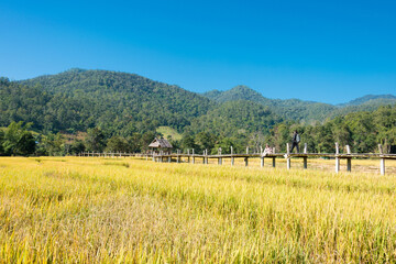 Obraz premium Beautiful scenic view from Pai Bamboo Bridge (Boon Ko Ku So) in Pai, Mae Hong Son Province, Thailand.