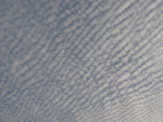 Obraz premium Am Nil