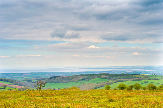 Cothelstone Hill, Quantocks, Somerset, England