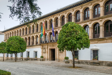 Fototapeta na wymiar Town Hall in Ronda, Spain