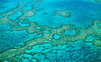 Fototapeta na wymiar Great Barrier Reef in Whitsunday Island, QLD Australia