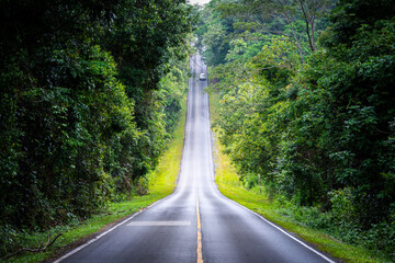 Road on hill slope inside tropical rainforest.