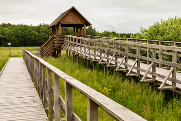 Boardwalk and ramp slip-way wooden path leading to gate of tower for tourist. Marshland bog in Poleski National Park. Observing tower in grassland. Nature trail Czahary.