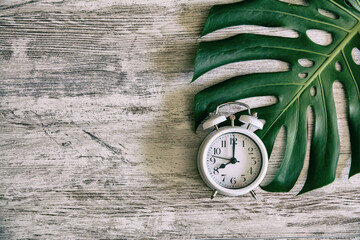 Aged white wood background with a retro alarm clock and a plant. Copy space