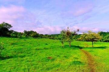 A landscape includes the physical elements of geophysically defined landforms such as (ice-capped) mountains, hills, water bodies such as rivers, lakes, ponds and the sea, living elements of land.