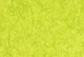 Obraz na płótnie Canvas Sheet of hand crafted bright green mulberry paper background with inclusions of natural fibers. Extra large highly detailed image.