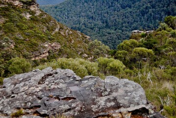 Fototapeta na wymiar The cliffs in the Blue Mountains, Australia