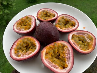 round passion fruit, purple, brown, laying on my hand on the balcony of the condo