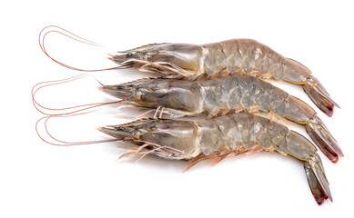 Banana prawn or shrimp isolated on white background, White shrimp isolated on white background