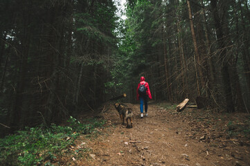 Back view on a tourist woman walking in the mountain woods with a stray dog. Hiker girl in a red jacket strolling in the fir forest, the dog is following her. Tourism concept, copy space.