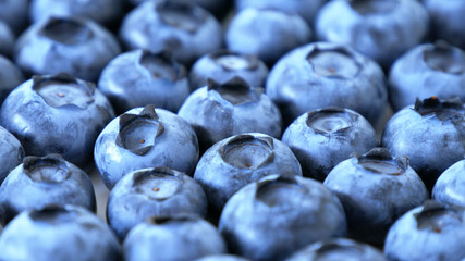 Fresh Ripe Blueberry Background. Blue Fruit Macro Shot