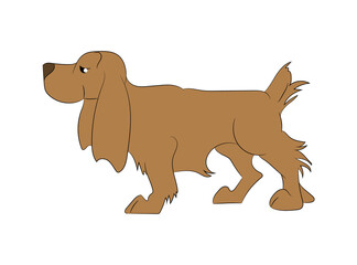 vector illustration of a dog that is standing, drawing color
