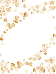 Gold seashells vector, golden pearl bivalved mollusks. 