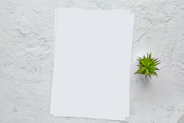 White empty paper and space for text on cement texture background. Mockup template. top view