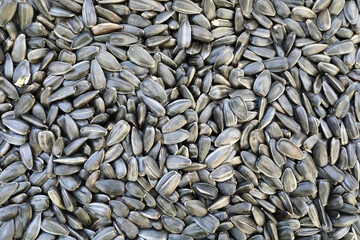 Details of Fried Sunflower Seeds