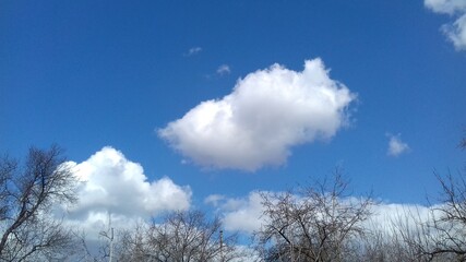 There are clouds in the clear blue sky this summer day.