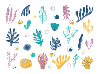 Various marine plants. Collection of underwater plants in a simple cartoon style. Vector illustration of icons of aquarium algae.