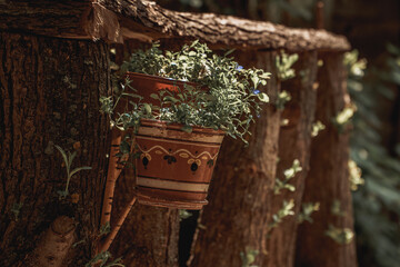 Vintage flower pot in a tree arrangement in nature
