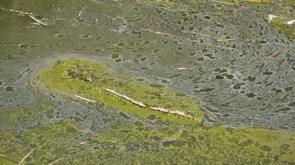 Environmental pollution ecological problem.River that is polluted with various garbage and trash, Polluted rivers