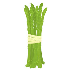 Cartoon fresh organic green asparagus icon. vector illustration.