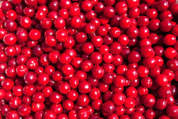 Red Cherry Background