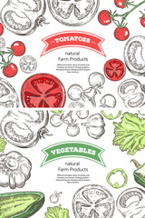 Tomatoes, peppers, lettuce, garlic. Vintage graphics. Horizontal banners.