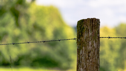 Fence with barbed wire in the French countryside