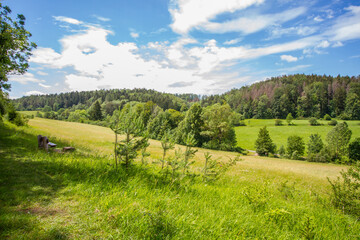 Landscape with meadows and forest in summer near Hildburghausen in Thuringia (Thüringen), Germany