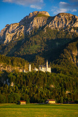 Neuschwanstein Castle with Alps in the evening light, Germany - obrazy, fototapety, plakaty