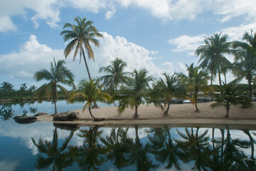 Fototapeta na wymiar reflection of island palm trees in water
