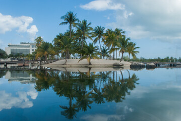 Fototapeta na wymiar reflection of island palm trees in water