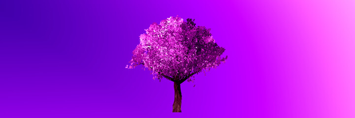 Obraz premium Picture of sakura on a purple background