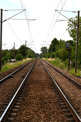 Fototapeta na wymiar Train tracks in the countryside close to Paris Portrait format
