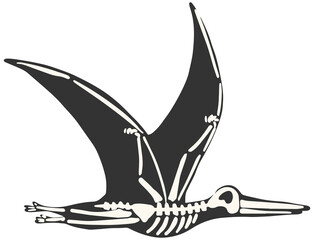 X-Ray Dino Skeleton Pterodactyl clipart hand drawn isolated on white background © Anastasiia
