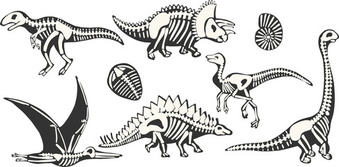 X-Ray Dino Skeleton vector clipart set hand drawn isolated on white background © Anastasiia