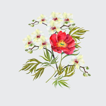 Watercolor bouquet  white orchid with red peony on gray background. Floral illustration.